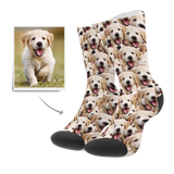 Custom Pet Photo Socks With Face