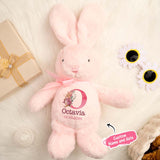Personalized Bunny Rabbit Plush Stuffed Toy Gift for Children