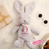 Personalized Bunny Rabbit Plush Stuffed Toy Gift for Children