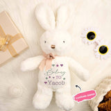Personalized Bunny Rabbit Plush Stuffed Toy Gift for Children